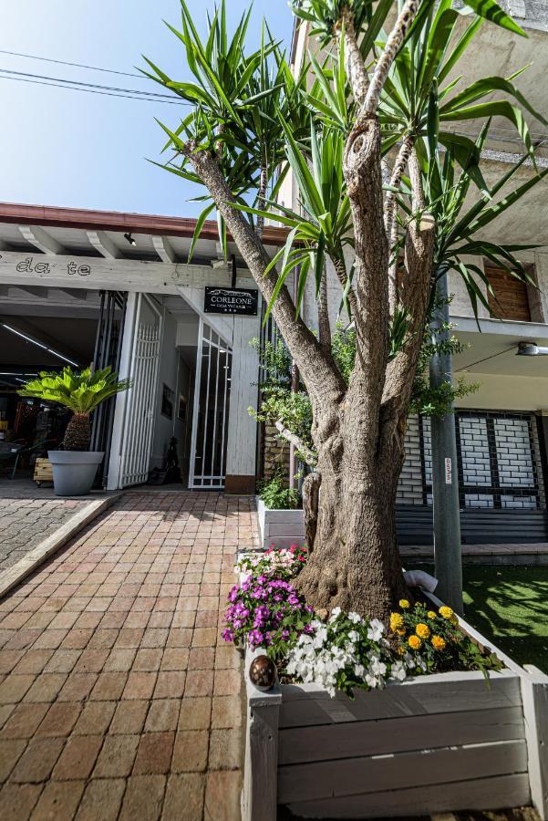 Couette-café Corleone Guesthouse *